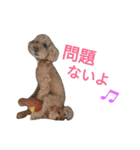 仔犬のロンド（個別スタンプ：28）