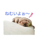 仔犬のロンド（個別スタンプ：29）
