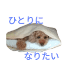 仔犬のロンド（個別スタンプ：30）