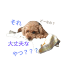 仔犬のロンド（個別スタンプ：31）