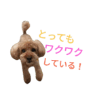 仔犬のロンド（個別スタンプ：34）