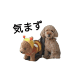 仔犬のロンド（個別スタンプ：38）