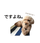 仔犬のロンド（個別スタンプ：39）