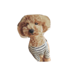 coco_sta（個別スタンプ：7）