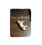 柴犬兄弟 マメタロウとポテチ2（個別スタンプ：1）