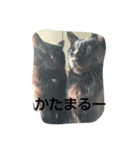 かわいいよね（個別スタンプ：2）
