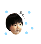 葵スタンプ1（個別スタンプ：1）