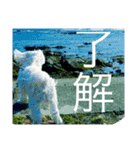 幸せのまるちーず（個別スタンプ：2）