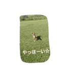 キャバリアちよまる4（個別スタンプ：21）