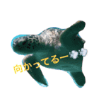 シンプルなチワワ（個別スタンプ：8）