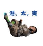 岑恩雙寶（個別スタンプ：11）
