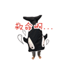 岑恩雙寶（個別スタンプ：29）