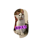 ミクさん2（個別スタンプ：6）