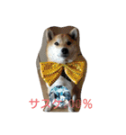 篠高ペットたち（個別スタンプ：1）