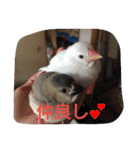 篠高ペットたち（個別スタンプ：24）
