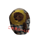 篠高ペットたち（個別スタンプ：34）