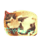 pocke（個別スタンプ：1）