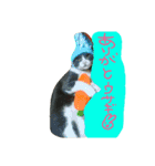 pocke（個別スタンプ：4）