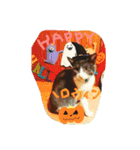 pocke（個別スタンプ：7）