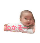 ひよちゃんのスタンプ（個別スタンプ：15）