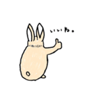 うさぎのトンペー（個別スタンプ：1）