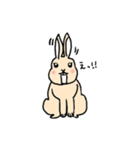 うさぎのトンペー（個別スタンプ：2）