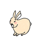 うさぎのトンペー（個別スタンプ：16）