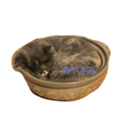ねこのいる生活（個別スタンプ：3）