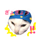さんびきのねこ（個別スタンプ：5）