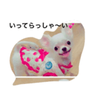犬's（個別スタンプ：2）
