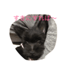 犬's（個別スタンプ：6）
