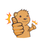 Little Bear Louis First Debut（個別スタンプ：3）
