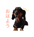 るるさんすたんぷ（個別スタンプ：3）