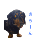 るるさんすたんぷ（個別スタンプ：4）