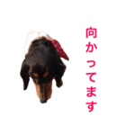 るるさんすたんぷ（個別スタンプ：6）