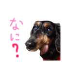 るるさんすたんぷ（個別スタンプ：8）