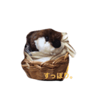 I am tawashi ！（個別スタンプ：7）