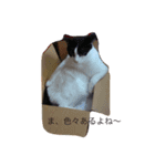 コテコナとわたし（個別スタンプ：2）