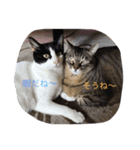 コテコナとわたし（個別スタンプ：3）