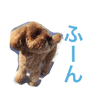 チョッパーとチョコの日常（個別スタンプ：1）