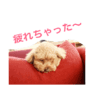 チョッパーとチョコの日常（個別スタンプ：3）