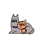 我が家の雑種犬（個別スタンプ：31）