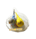 かわいんこスタンプ（個別スタンプ：2）