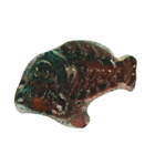 Fishes in Shakotan at Hokkaido（個別スタンプ：6）