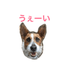 ジェイミーさんとの毎日 2（個別スタンプ：2）