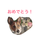 ジェイミーさんとの毎日 2（個別スタンプ：4）