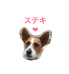 ジェイミーさんとの毎日 2（個別スタンプ：7）