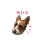 ジェイミーさんとの毎日 2（個別スタンプ：8）