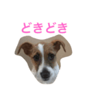 ジェイミーさんとの毎日 2（個別スタンプ：13）