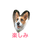 ジェイミーさんとの毎日 2（個別スタンプ：16）